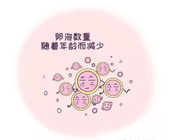 武安省心的试管
