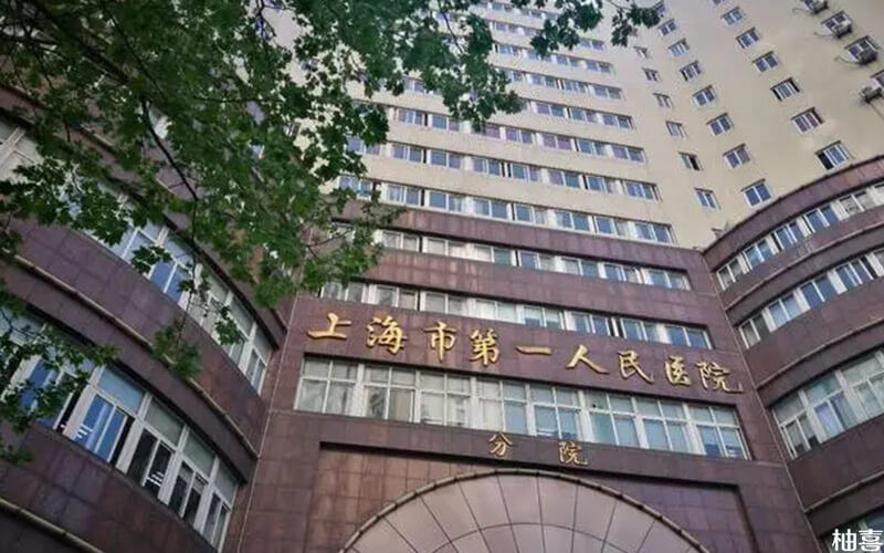 染色体异常试管