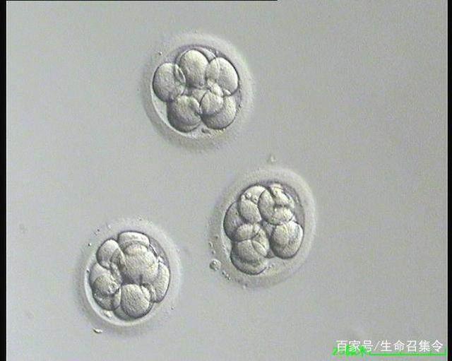 人工智能