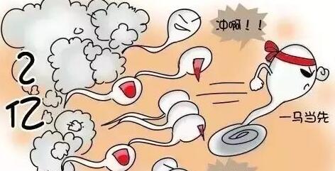 杭州境外试管婴儿