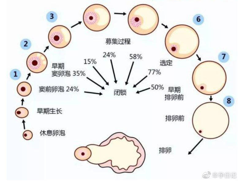 杭州试管婴儿