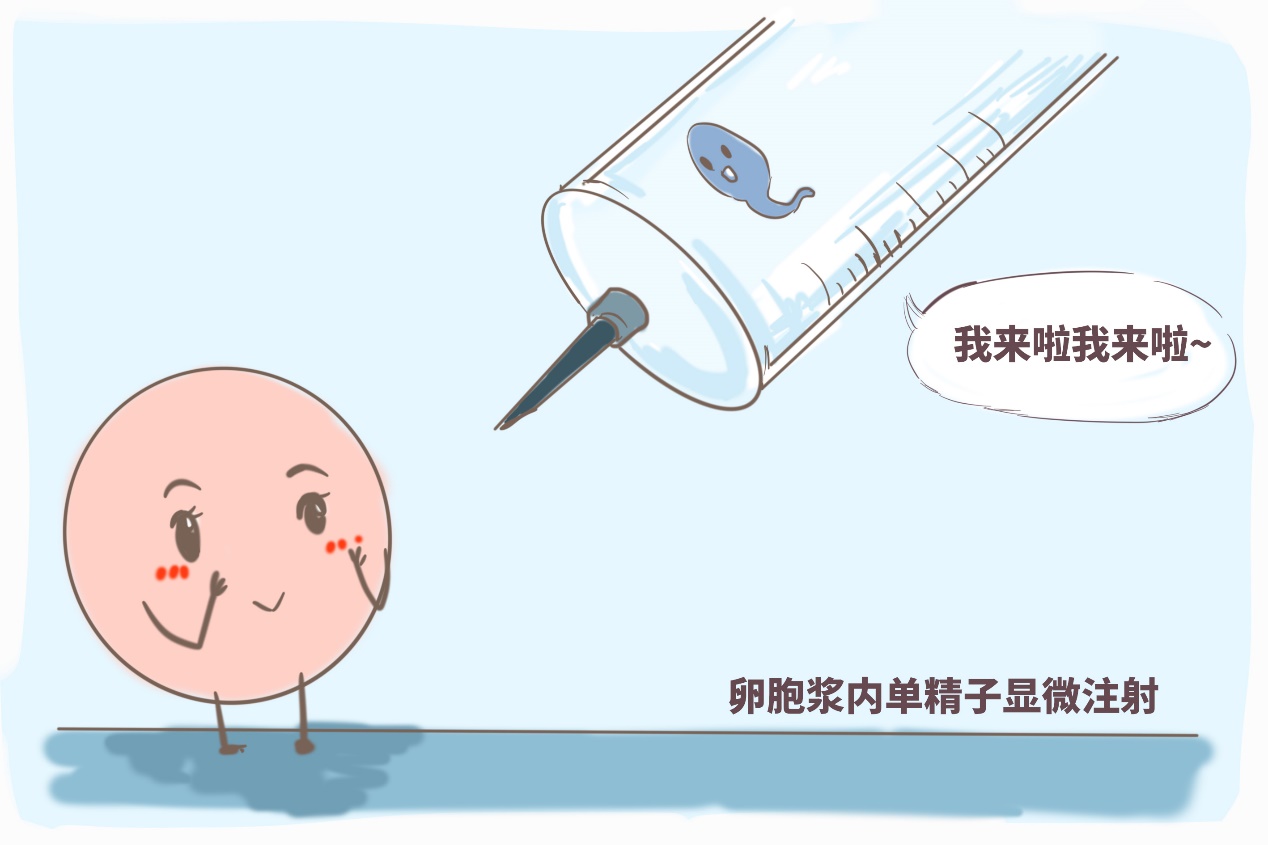 杭州邵逸夫试管婴儿