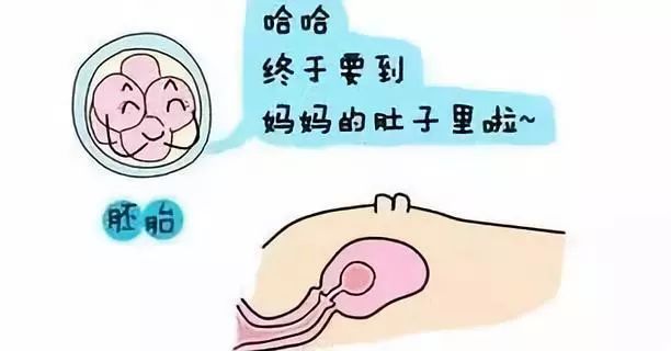 武汉孕前检查