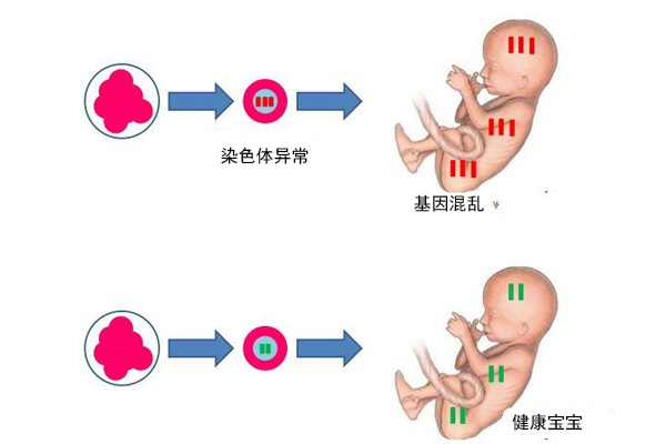 毫升试管