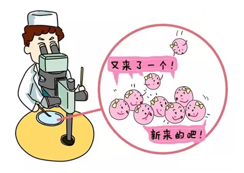 杭州做试管