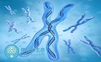 不孕不育