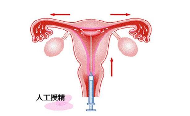 借卵生子