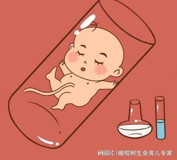 借卵试管婴儿