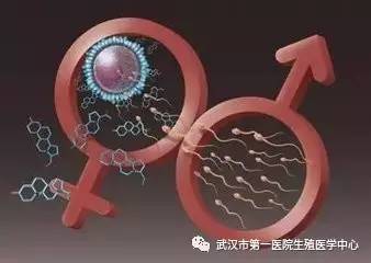 借卵生子