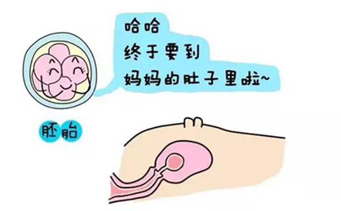 借卵生子