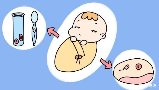 借卵生孩子