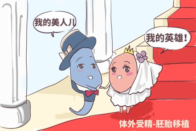 借卵试管婴儿