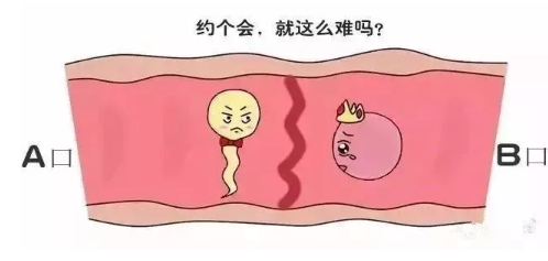 借卵生子